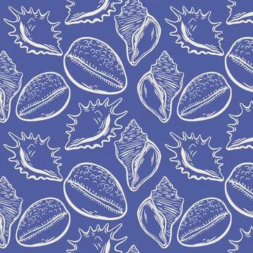 White seashell sketch pattern on navy blue background Stock Illustration