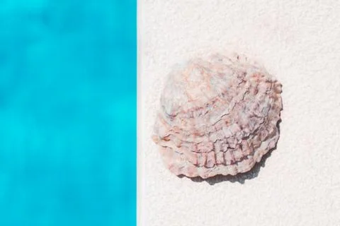 White seashell on a white textured background  next to a blue water in swimmi Stock Photos