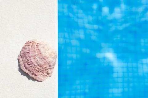 White seashell on a white textured background  next to a blue water in swimmi Stock Photos
