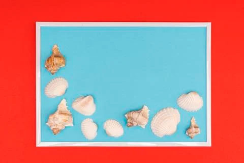  White seashells composition Stock Photos