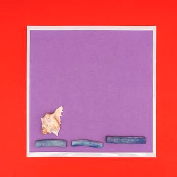  White seashells composition Stock Photos