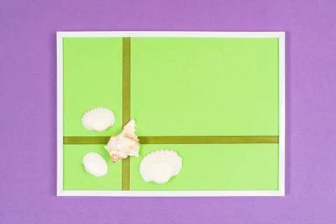  White seashells composition	 Stock Photos