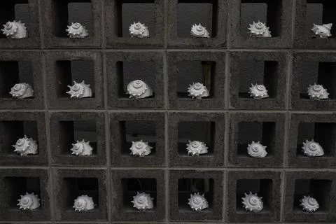 White seashells displayed in a concrete block wall pattern Stockfoto's