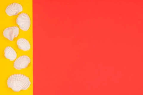  white seashells in a white frame on a colored background	 Stock Photos