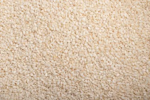 White Sesame Full Frame Background. Top View for background. Foto stock