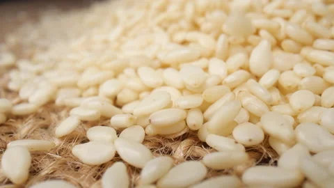 White sesame seed falling. Macro shot. Stock Footage 236828002
