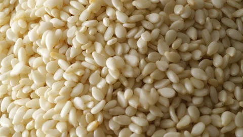 White sesame seed falling. Macro shot. Stock Footage 237330126