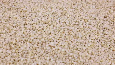 White sesame seeds falling down close up Stock Footage 236529571