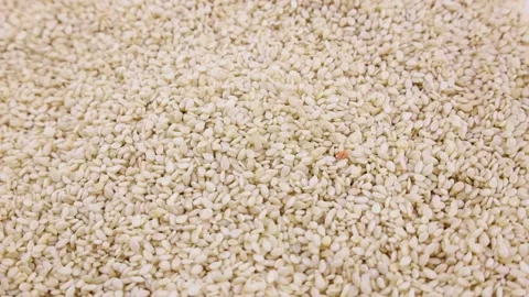 White sesame seeds falling down with circle rotation close up Stock Footage 236932445