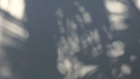 White Shadow Stock Footage