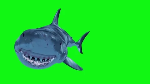 White Shark Attack Loop Front Green Screen 3D Rendering Animation Stock Footage