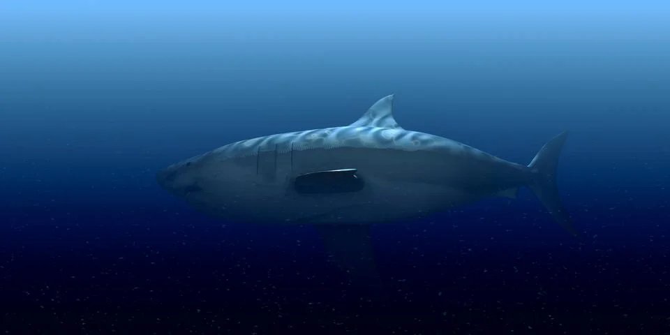 White shark Stock Illustration