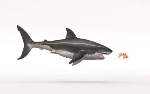 The white shark Stock Illustration
