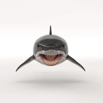 The white shark Stock Illustration