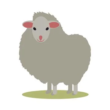 White sheep Stock Illustration