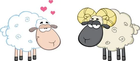 White Sheep In Love With Ram Sheep Stock Illustration