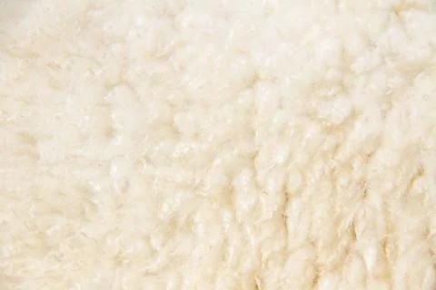 White sheep wool background, Background pattern of soft warm material Foto stock