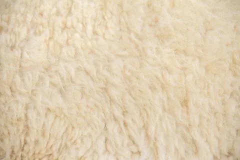 White sheep wool background, Background pattern of soft warm material Foto stock
