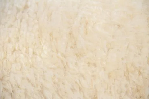 White sheep wool background, Background pattern of soft warm material Foto stock