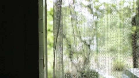 White sheer curtain blowing in the wind Stock-Footage 78490968