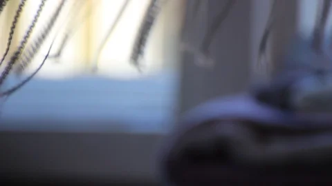 White Sheer Curtains Blowing in Wind from Open Window - Slow Motion Vidéo 100339161