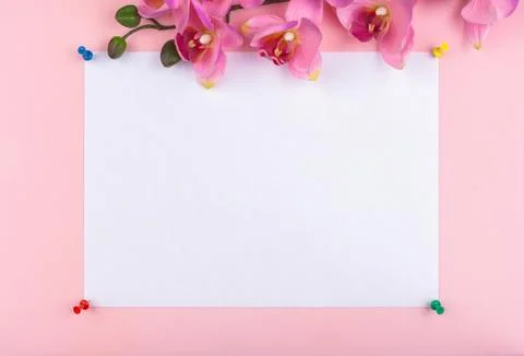A white sheet is attached with push pins Stock Photos