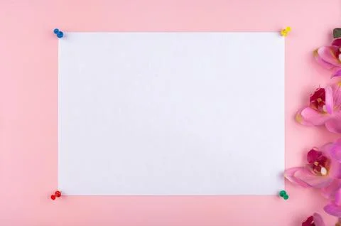 A white sheet is attached with push pins Stock Photos