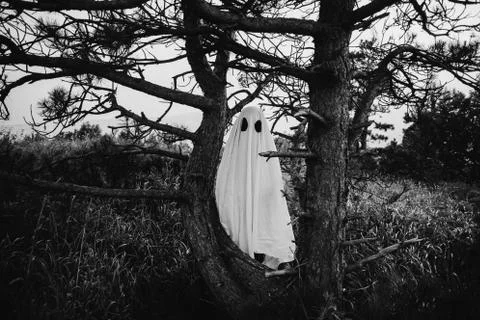 White sheet ghost in forest Stock Photos