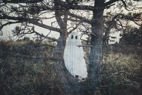 White sheet ghost Stock Photos