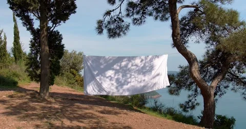 A white sheet hangs on a rope between the trees. Background for trendy titles Stock Footage 241235026