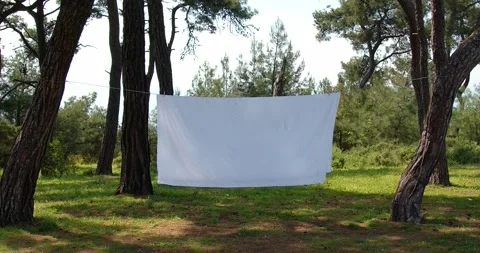 A white sheet hangs on a rope between the trees. Background for trendy titles Stock Footage 242285536