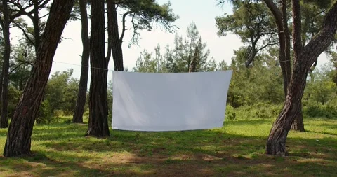 A white sheet hangs on a rope between the trees. Background for trendy titles Stock Footage 245908372