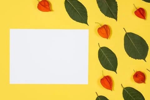 White sheet lie left on a yellow background with a pattern fresh green leaf.. Stock Photos