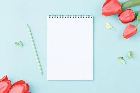 White sheet notepad with pencil. Stock Photos