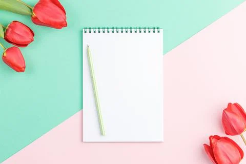 White sheet notepad with pencil. Stock Photos