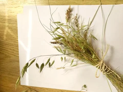 White sheet of paper and a bundle of meadow grass with a string on a wooden t Stock Photos