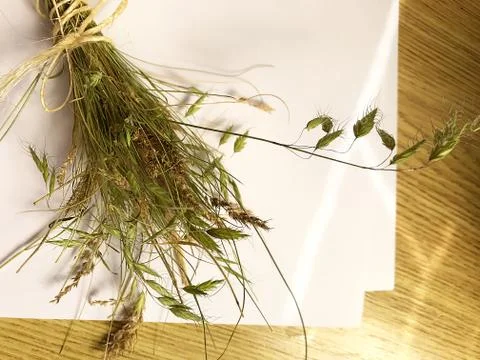 White sheet of paper and a bundle of meadow grass with a string on a wooden t Stock Photos