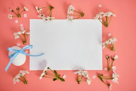 A white sheet of paper, cherry blossoms and an egg with a blue ribbon on a pink Stock Photos