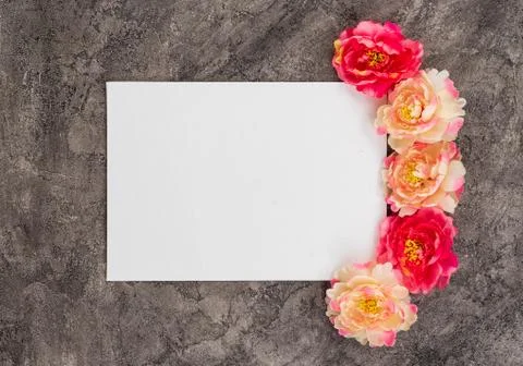 White sheet of paper on a gray background with Pions around Stock Photos