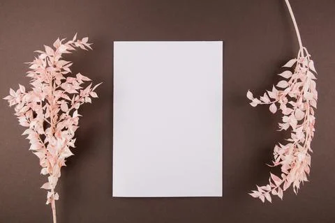 White sheet of paper on the table with light twigs Stock Photos