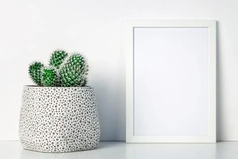 White shelf in the house with a cactus in a pot with a dot pattern Stock Photos