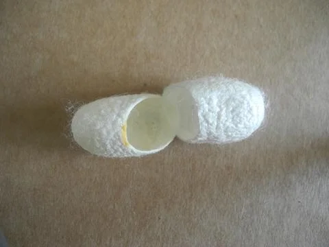 The white shell of silkworm cocoons on a beige background. It is used for t.. Stock Photos