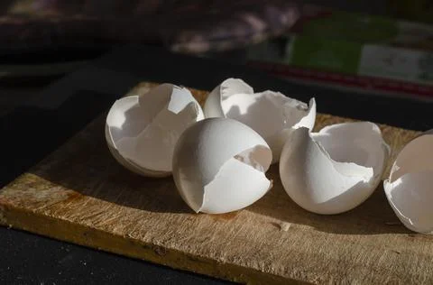 White shells of chicken eggs close-up. Stock Photos