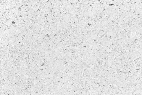 White shells fossil texture Foto stock