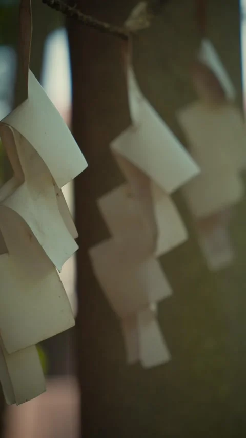 White shide paper streamers swaying on rope at Japanese shrine Stock Footage 346263677