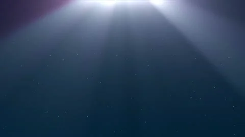 White Shiny Particles And Rays Are Moving Stock Footage 202891376