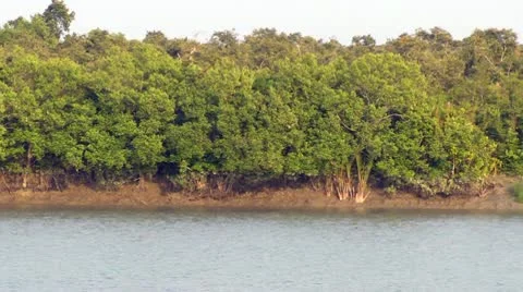 White Ship Video stock 10792801