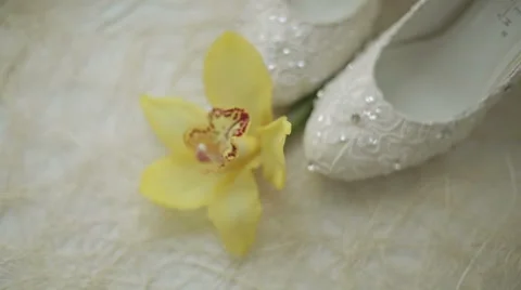 White shoes with a flower Stock Footage 63602671
