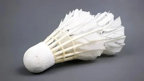 White shuttlecock with feathers on gray background Stock Photos