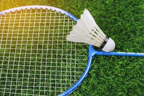White shuttlecocks and badminton racket rest on artificial grass, outdoor s.. Stock Photos